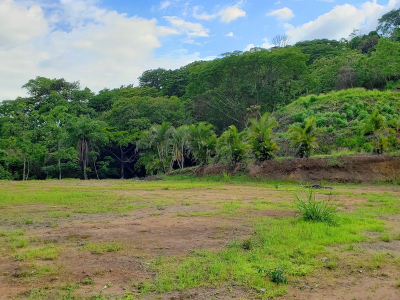 4 Premium Hectares Property in Atenas with Amazing Vistas, Atenas